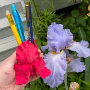 Iris Flower Pen Stand